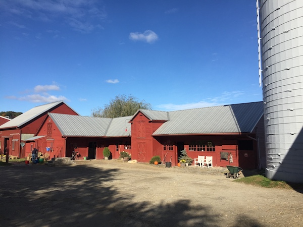 River Horse Farm Community Solar Image 3