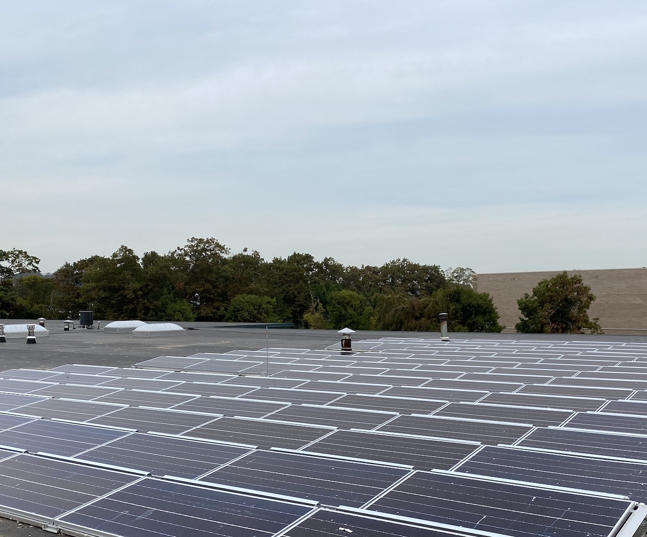 Beechwood Community Solar Image 4