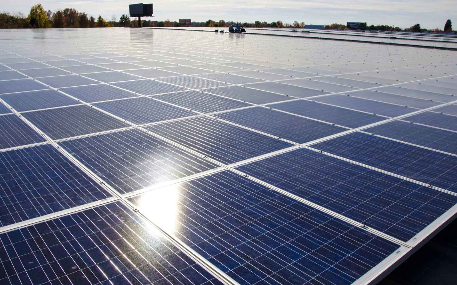 Linden Solar 700 Image